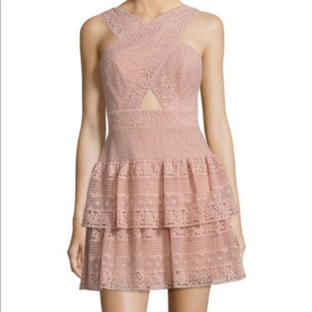 bcbg halter neck blush dress
